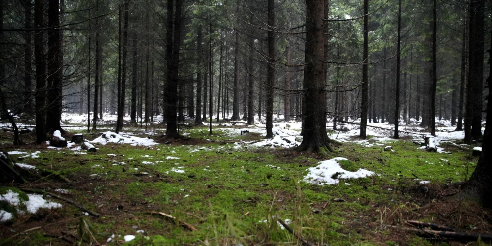 Оттепель в Латвии: во вторник температура достигнет +4 градусов