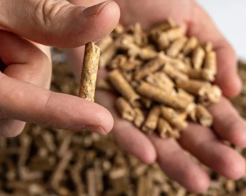 Паника на топливном рынке: кто скупает гранулы и почему цены продолжат расти