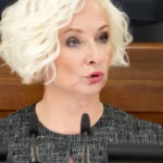 Председатель Сейма назвала принятый бюджет лучшим из возможных в текущих условиях