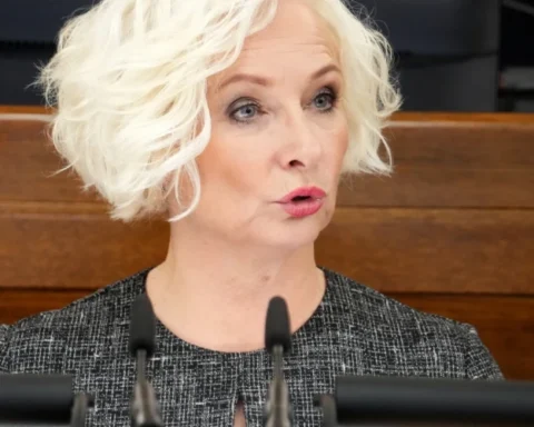 Председатель Сейма назвала принятый бюджет лучшим из возможных в текущих условиях