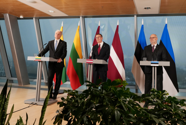 Президент Литвы, Латвии и Эстонии обсудили поддержку Украины в Риге