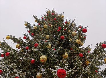 Президент Польши показал, как срубил рождественскую ёлку и принёс её домой