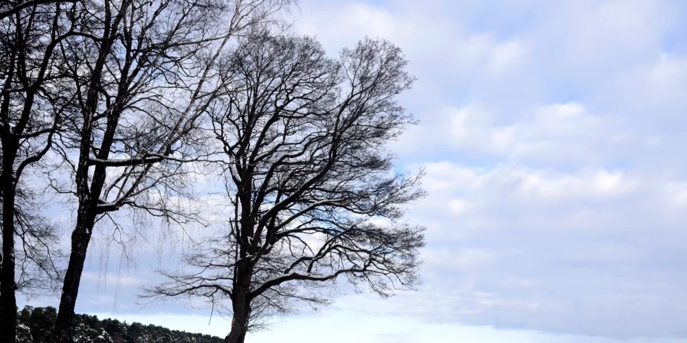 Прогноз погоды на неделю: в Латвии ожидаются прояснения и температура до +7 градусов