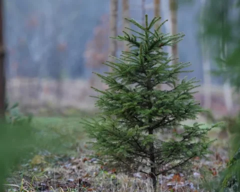 Прогноз погоды на пятницу: переменная облачность и умеренный ветер до 16 м/с