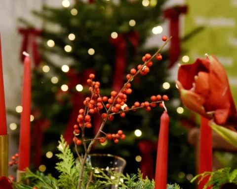 Прогноз погоды: облачная ночь с осадками и умеренным ветром в Латвии