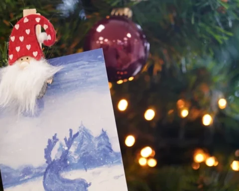 Проверка перед пожертвованиями: как избежать мошенничества в праздничные дни