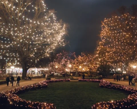 Рига украшена иллюстрациями Марой Чауре в ожидании Рождества