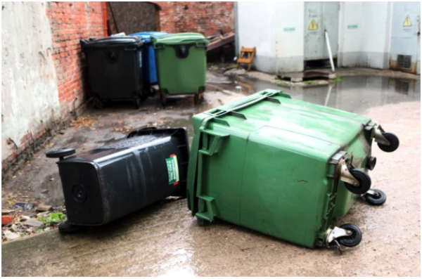 Рижане требуют от думы активизации работы по благоустройству и социальной политике