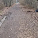 Рождественские огни в Огре контрастируют с неубранными улицами и грязью