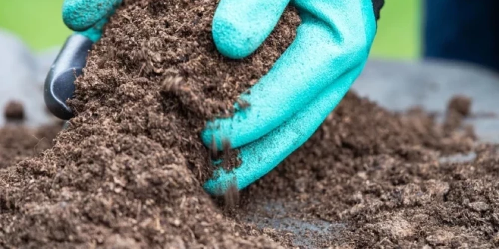 С 2027 года налог на торф вырастет в пять раз: депутат Плешкане критикует законопроект