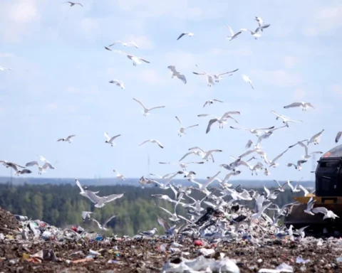 СК проводит проверки в двух компаниях из-за подозрений в нарушениях
