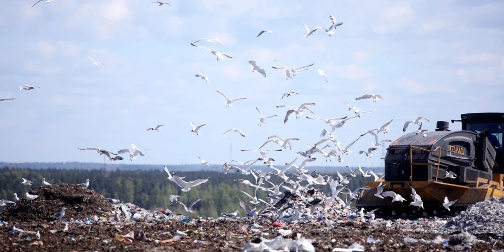 СК проводит проверки в двух компаниях из-за подозрений в нарушениях