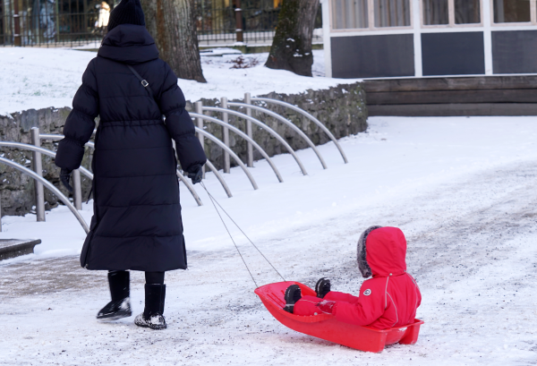 Сокращение населения и повышение налогов в Латвии: стратегия до 2050 года