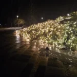 Спасатели ликвидируют последствия шторма: 13 вызовов в Курземском регионе, 12 в Риге