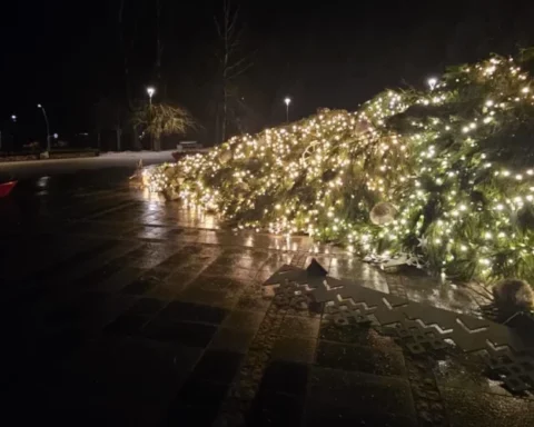 Спасатели ликвидируют последствия шторма: 13 вызовов в Курземском регионе, 12 в Риге