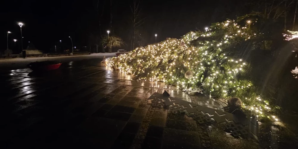 Спасатели ликвидируют последствия шторма: 13 вызовов в Курземском регионе, 12 в Риге