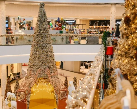 Спецпредложение в Spice: важная информация о праздничном расписании и закрытых днях