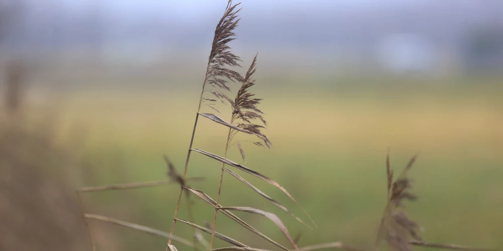 Средняя температура воздуха в Латвии в ноябре на 1,2 градуса выше нормы