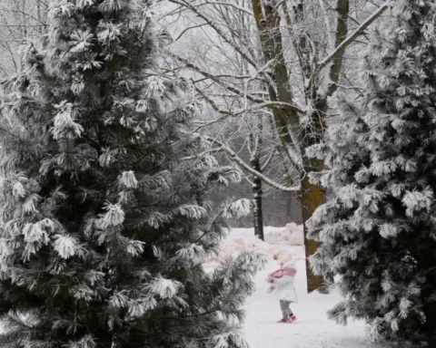 Сугробы до 5 см, затем дождь: прогноз погоды на понедельник в Латвии
