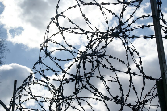 В Беларусь вернулись 123 политзаключенных, в том числе гражданка Латвии Алла Соколенко