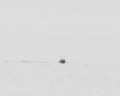 В четверг в Латвии ожидаются пасмурная погода и небольшие осадки