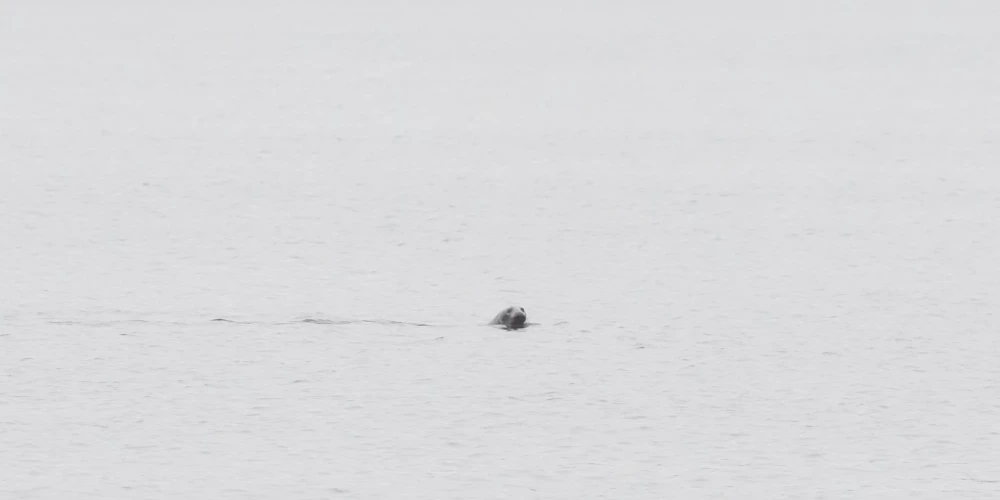 В четверг в Латвии ожидаются пасмурная погода и небольшие осадки