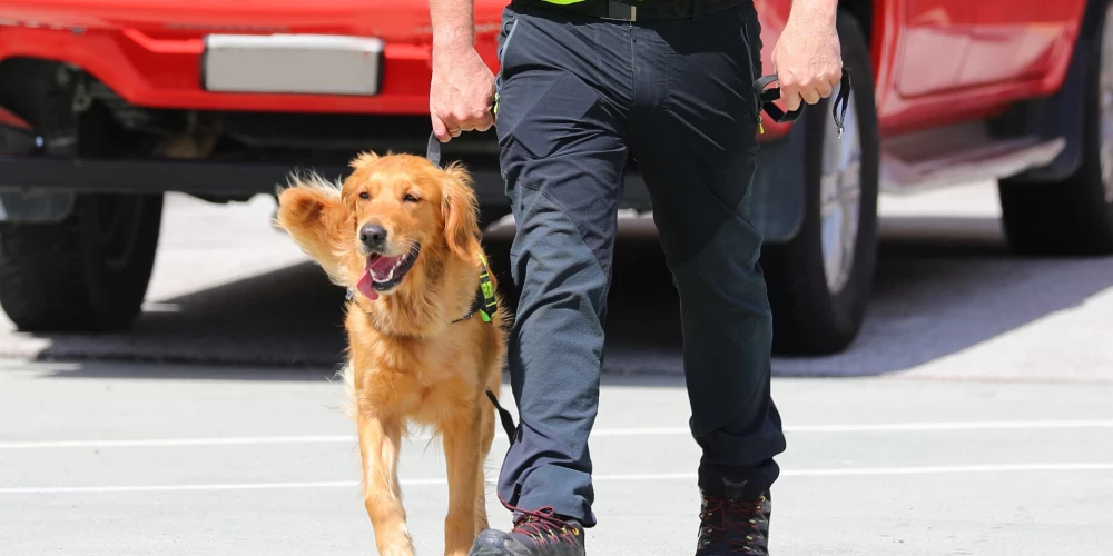 В Царникаве проверили школьные классы и вещи учеников с помощью собак