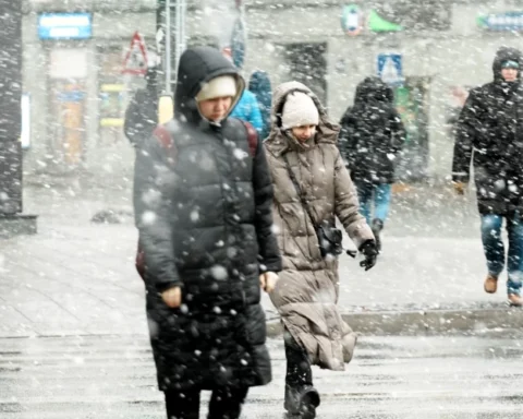 В Латвии объявлено желтое предупреждение о сильном снегопаде