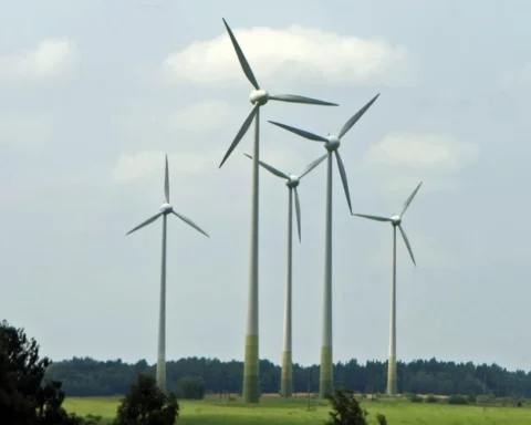 В Латвии предложен новый ветряной парк: обсуждение с жителями обязательно