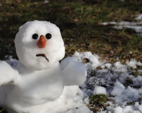 В Латвии в 2025 году зафиксировано 395 рекордов максимальной температуры