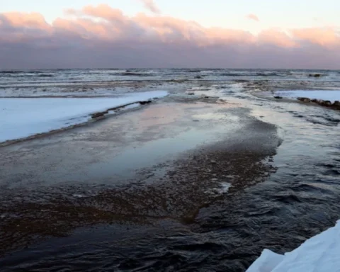 В первый день зимы в Латвии дождь и туман, температура до +8 градусов на побережье