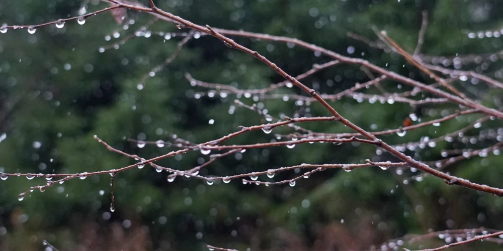 В понедельник ожидается дождь и умеренный южный ветер до 13 м/c