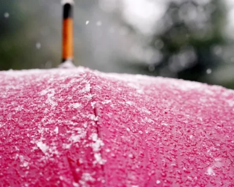 В понедельник ожидаются дождь и мокрый снег в восточных районах Латвии