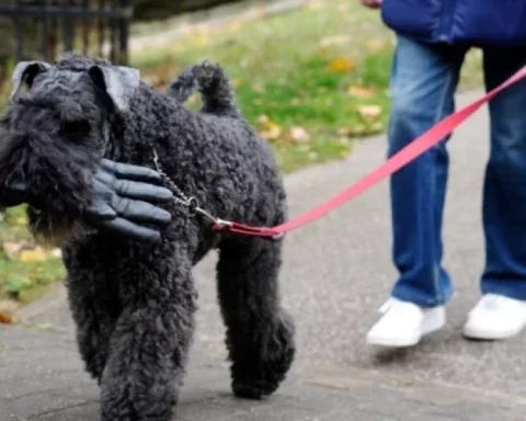 В Риге ожидаются кратковременные дожди, ясная погода к вечеру