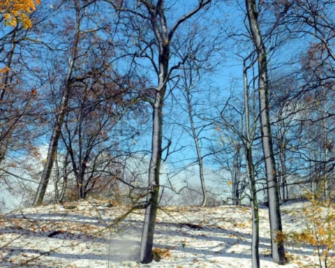 В воскресенье в Латвии ожидается солнечная погода после облачной ночи