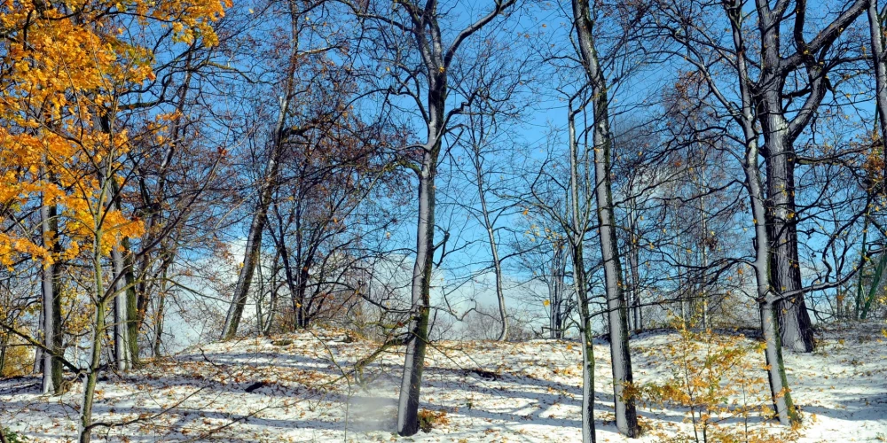 В воскресенье в Латвии ожидается солнечная погода после облачной ночи