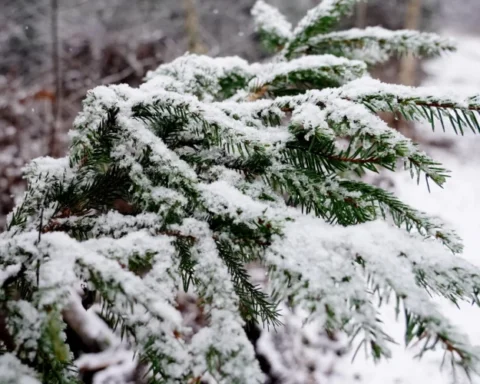 В воскресенье в Латвии ожидаются дожди и снег с усилением ветра