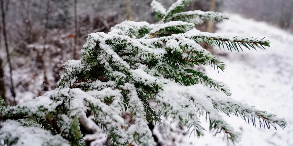 В воскресенье в Латвии ожидаются дожди и снег с усилением ветра