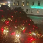 Ветром повалены новогодние елки в городах Латвии, наибольшее число случаев в Курземе