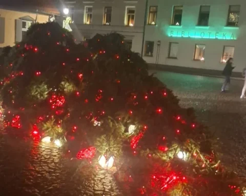 Ветром повалены новогодние елки в городах Латвии, наибольшее число случаев в Курземе