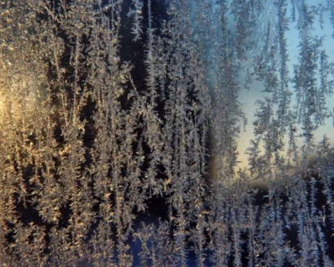 Во вторник в Латвии ожидается солнечная погода с температурой до -10 градусов