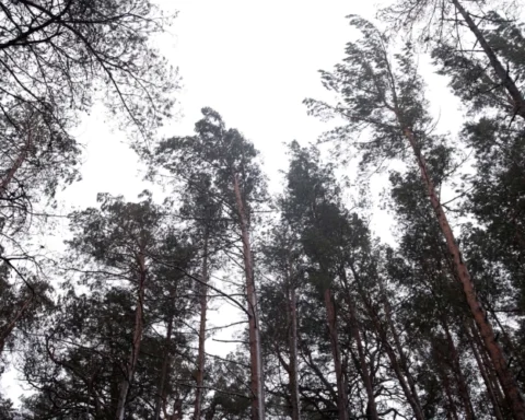 Во вторник в Латвии ожидаются дожди и облачная погода