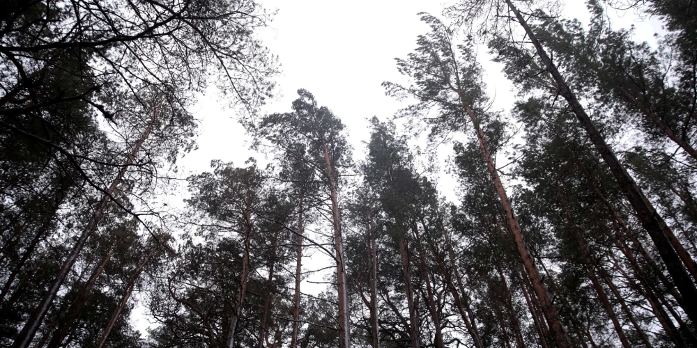 Во вторник в Латвии ожидаются дожди и облачная погода