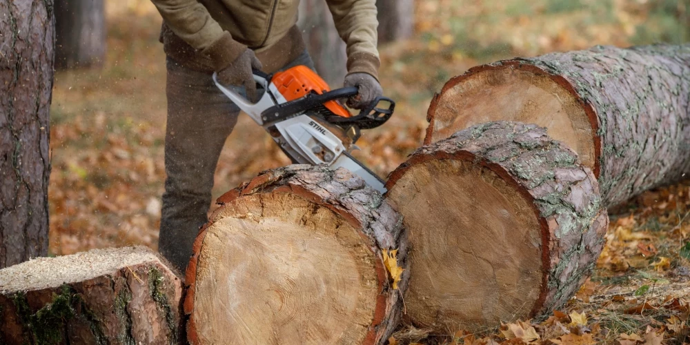 Житель Меллужи возмущен масштабной вырубкой леса и ее экологическими последствиями