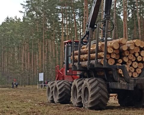 Украина и Германия углубляют сотрудничество в сфере лесного хозяйства