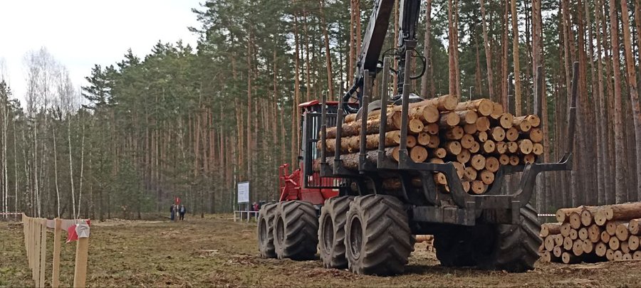 Украина и Германия углубляют сотрудничество в сфере лесного хозяйства