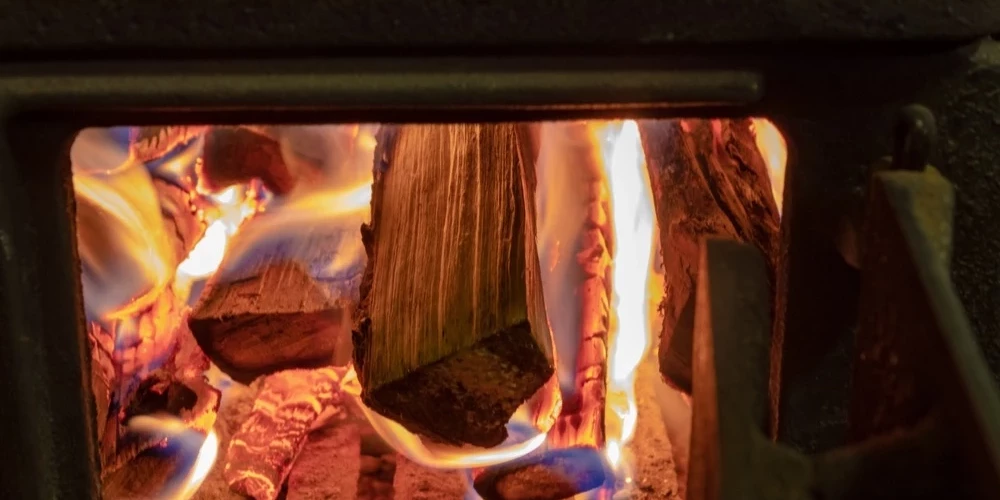 Активисты против сжигания латвийских старых лесов в котлах котельных