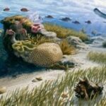 Глобальное потепление может улучшить содержание кислорода в морях, показывают исследования