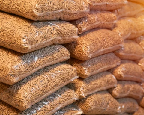 Холодная зима привела к дефициту гранул и брикетов в Латвии