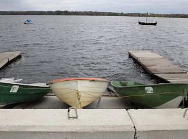 Исследование: плотины повышают риск заболеваний у форели в Эстонии